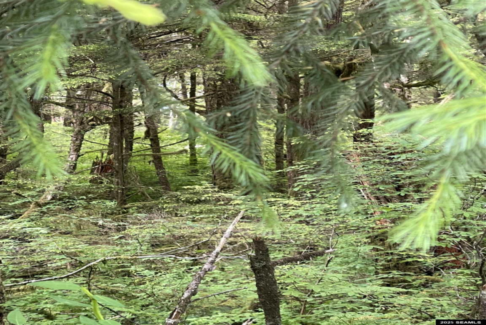 St not on list see add2, Ketchikan, Alaska 99901, 0 , 0 ,0,Single Family/duplex,Land,St not on list see add2,0,25662