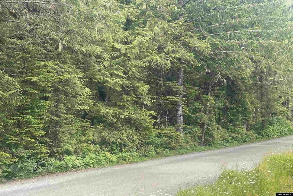 St not on list see add2, Ketchikan, Alaska 99901, 0 , 0 ,0,Single Family/duplex,Land,St not on list see add2,0,25662