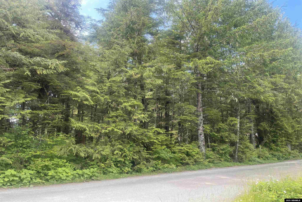 St not on list see add2, Ketchikan, Alaska 99901, 0 , 0 ,0,Single Family/duplex,Land,St not on list see add2,0,25662