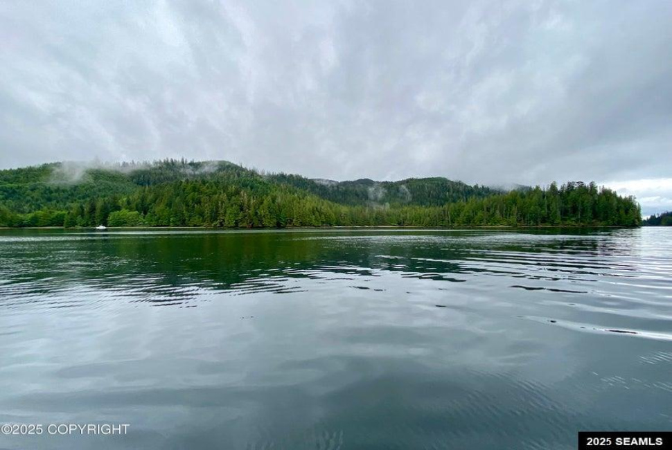 Legal Address Only, Naukati Bay, Alaska 99921, 0 , 0 ,0,Remote Recreational,Land,Legal Address Only,0,25675
