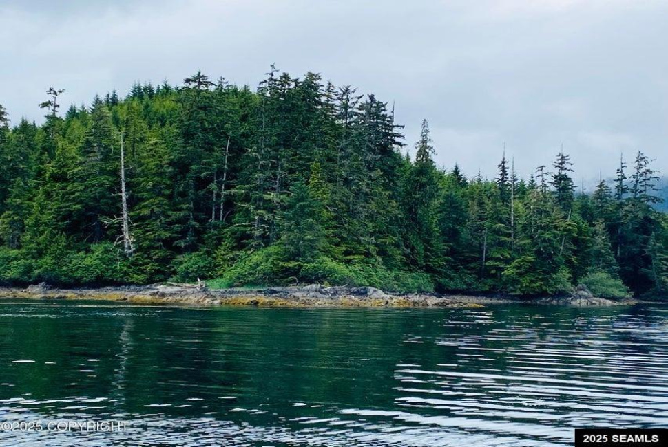 Legal Address Only, Naukati Bay, Alaska 99921, 0 , 0 ,0,Remote Recreational,Land,Legal Address Only,0,25675