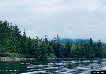 Legal Address Only, Naukati Bay, Alaska 99921, 0 , 0 ,0,Remote Recreational,Land,Legal Address Only,0,25675
