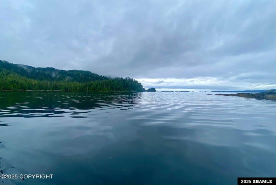 Legal Address Only, Naukati Bay, Alaska 99921, 0 , 0 ,0,Remote Recreational,Land,Legal Address Only,0,25675
