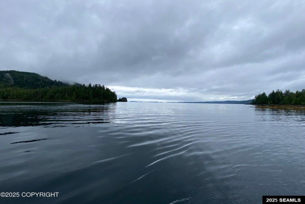 Legal Address Only, Naukati Bay, Alaska 99921, 0 , 0 ,0,Remote Recreational,Land,Legal Address Only,0,25675