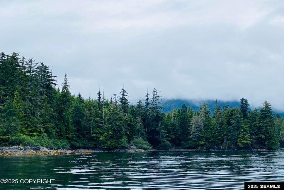 Legal Address Only, Naukati Bay, Alaska 99921, 0 , 0 ,0,Remote Recreational,Land,Legal Address Only,0,25675