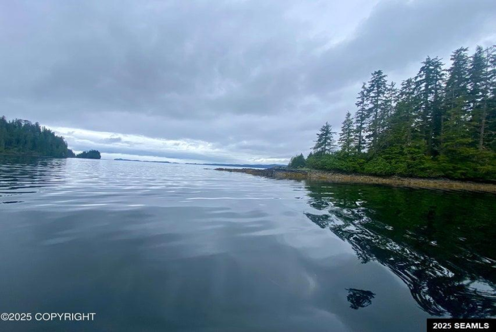 Legal Address Only, Naukati Bay, Alaska 99921, 0 , 0 ,0,Remote Recreational,Land,Legal Address Only,0,25675