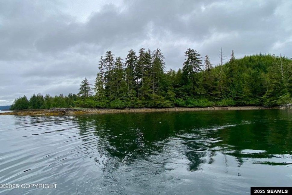 Legal Address Only, Naukati Bay, Alaska 99921, 0 , 0 ,0,Remote Recreational,Land,Legal Address Only,0,25675