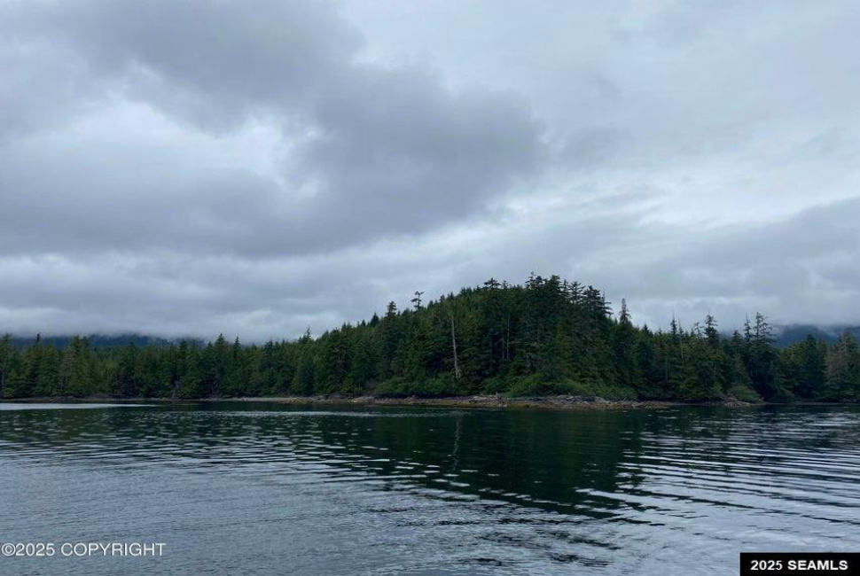 Legal Address Only, Naukati Bay, Alaska 99921, 0 , 0 ,0,Remote Recreational,Land,Legal Address Only,0,25675
