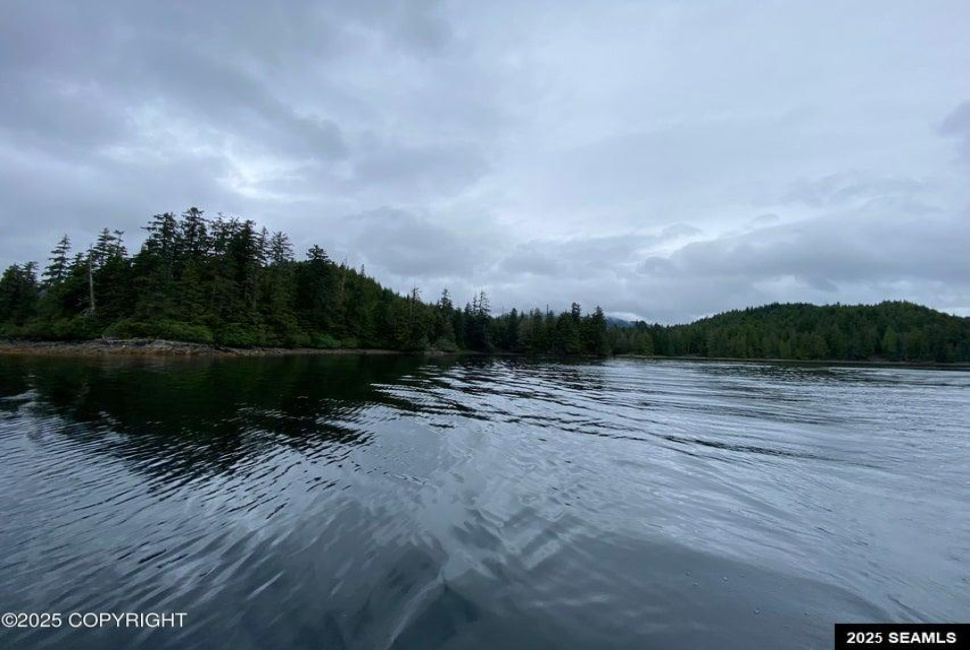 Legal Address Only, Naukati Bay, Alaska 99921, 0 , 0 ,0,Remote Recreational,Land,Legal Address Only,0,25675