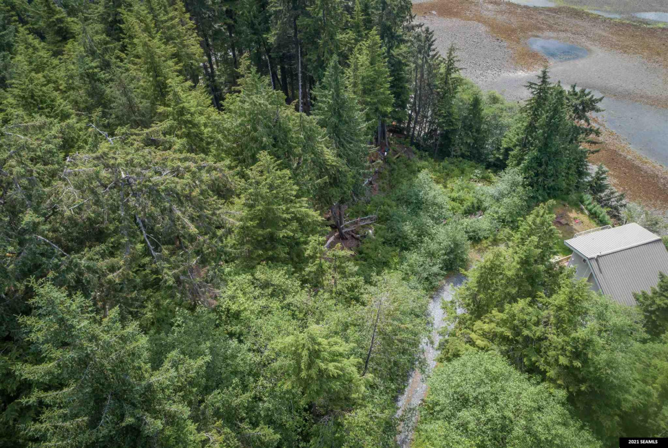 Legal Address Only, Ketchikan, Alaska 99901, 0 , 0 ,0,Single Family/duplex,Land,Legal Address Only,0,21784