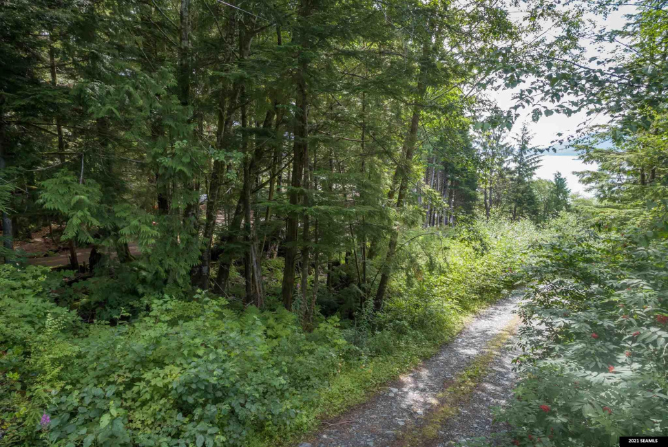 Legal Address Only, Ketchikan, Alaska 99901, 0 , 0 ,0,Single Family/duplex,Land,Legal Address Only,0,21784
