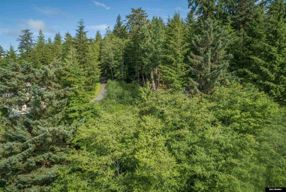Legal Address Only, Ketchikan, Alaska 99901, 0 , 0 ,0,Single Family/duplex,Land,Legal Address Only,0,21784