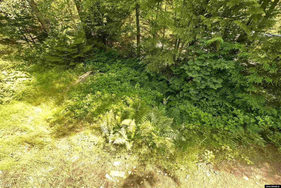 1350 Woodside Drive, Ketchikan, 99901, 2 Bedrooms Bedrooms, 0 ,1 BathroomBathrooms,Single Family,Residential,Woodside Drive,0,24531