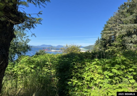 800 Water Street, Craig, 99921, 5 Bedrooms Bedrooms, 0 ,3 BathroomsBathrooms,Single Family,Residential,Water Street,0,25822