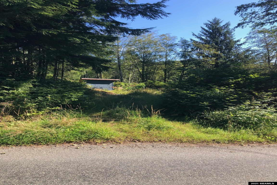 900 Legal Address Only, Ketchikan, Alaska 99901, 0 , 0 ,0,Other-see Remarks,Land,Legal Address Only,0,25825