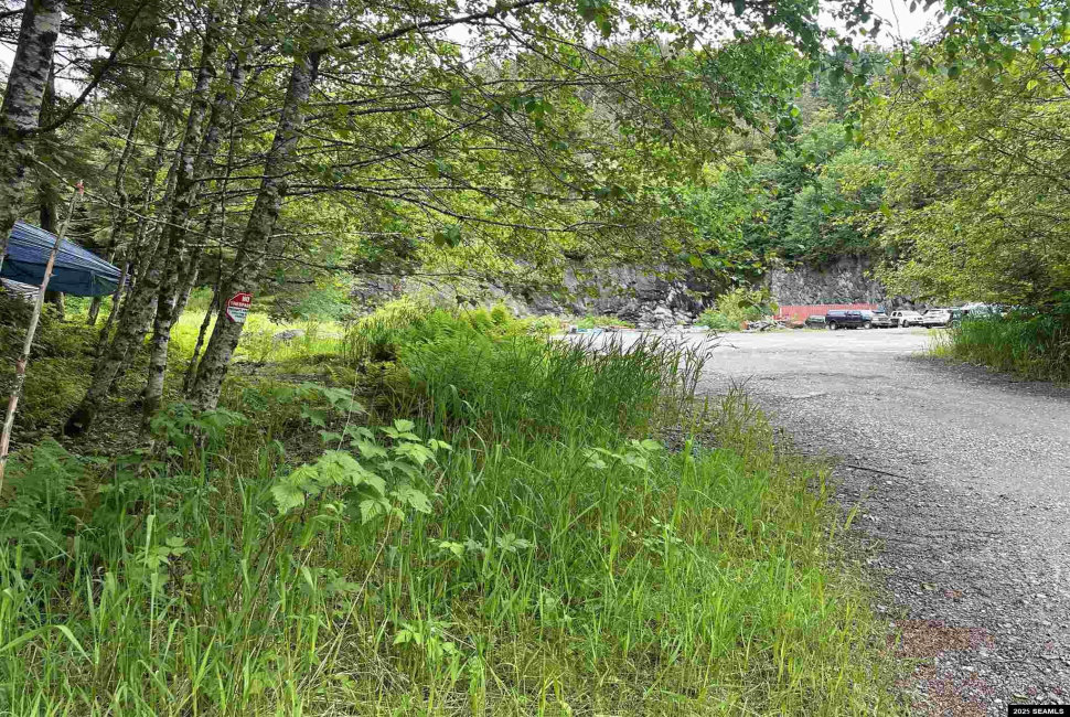 6615 Roosevelt Drive, Ketchikan, Alaska 99901, 0 , 0 ,0,Industrial,Land,Roosevelt Drive,0,25597