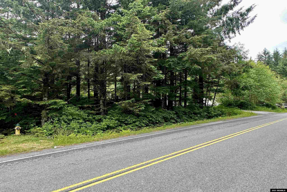 6615 Roosevelt Drive, Ketchikan, Alaska 99901, 0 , 0 ,0,Industrial,Land,Roosevelt Drive,0,25597