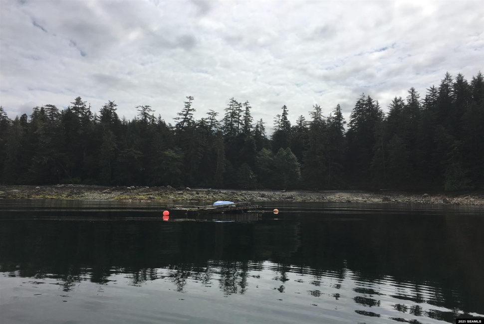 Legal Address Only, Ketchikan, Alaska 99901, 0 , 0 ,0,Remote Recreational,Land,Legal Address Only,0,25840