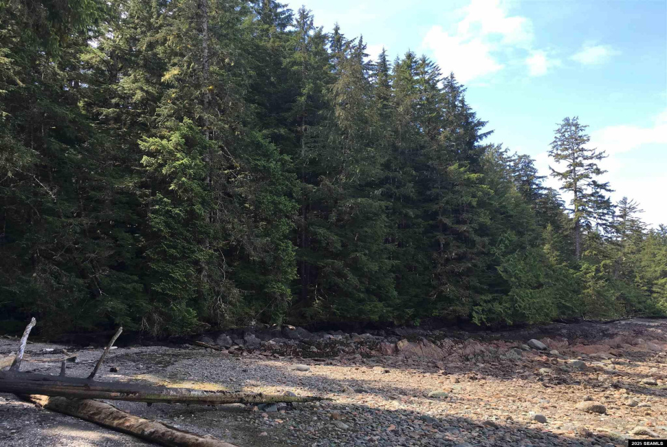 Legal Address Only, Ketchikan, Alaska 99901, 0 , 0 ,0,Remote Recreational,Land,Legal Address Only,0,25840