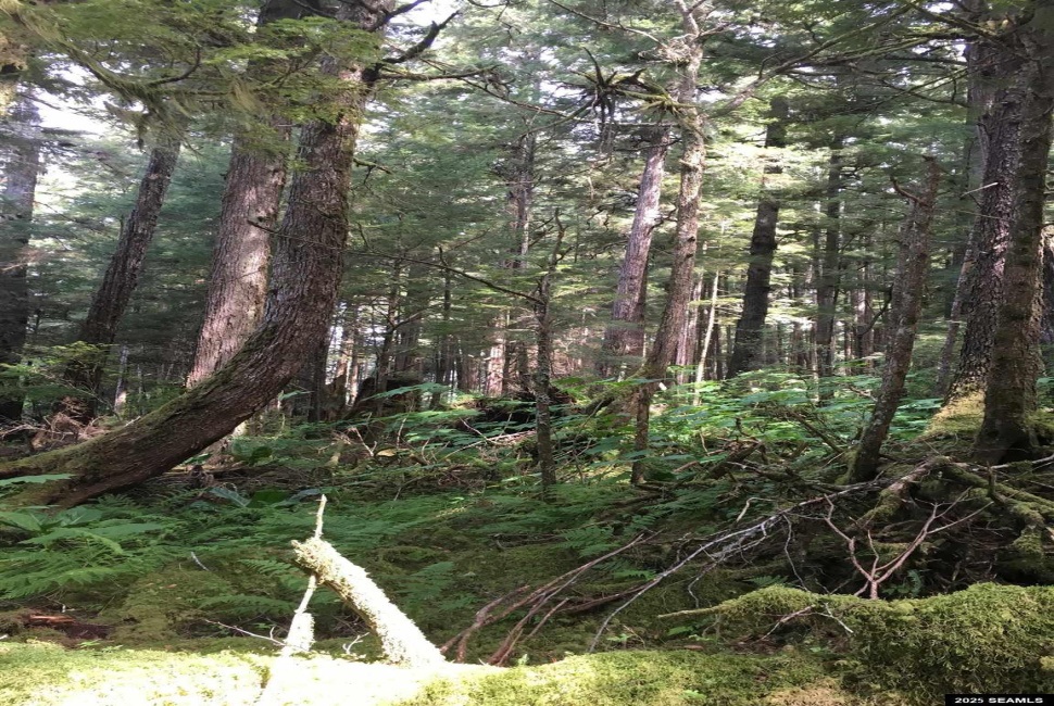 Legal Address Only, Ketchikan, Alaska 99901, 0 , 0 ,0,Single Family/duplex,Land,Legal Address Only,0,25841
