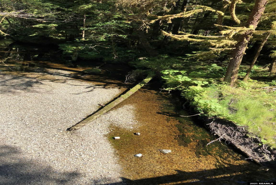 Legal Address Only, Ketchikan, Alaska 99901, 0 , 0 ,0,Single Family/duplex,Land,Legal Address Only,0,25841