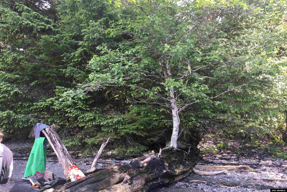 Legal Address Only, Ketchikan, Alaska 99901, 0 , 0 ,0,Single Family/duplex,Land,Legal Address Only,0,25841