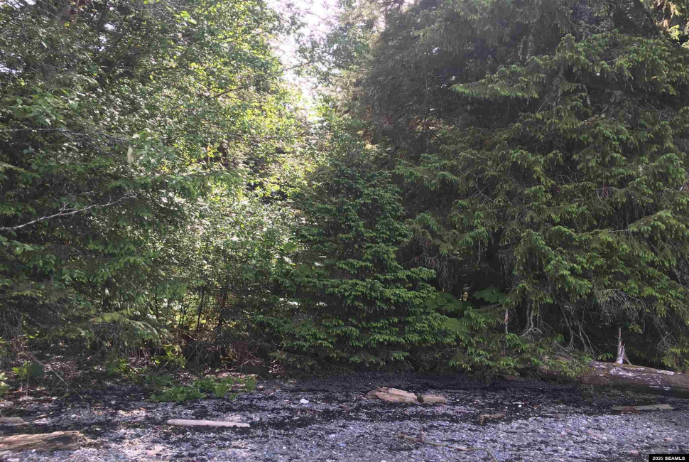Legal Address Only, Ketchikan, Alaska 99901, 0 , 0 ,0,Single Family/duplex,Land,Legal Address Only,0,25841