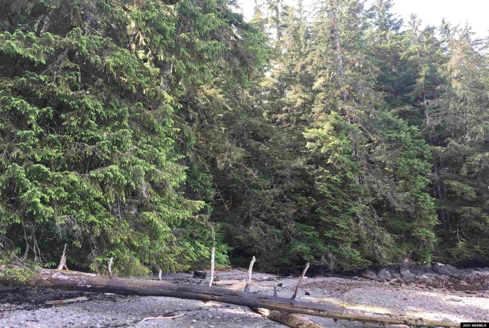 Legal Address Only, Ketchikan, Alaska 99901, 0 , 0 ,0,Single Family/duplex,Land,Legal Address Only,0,25841