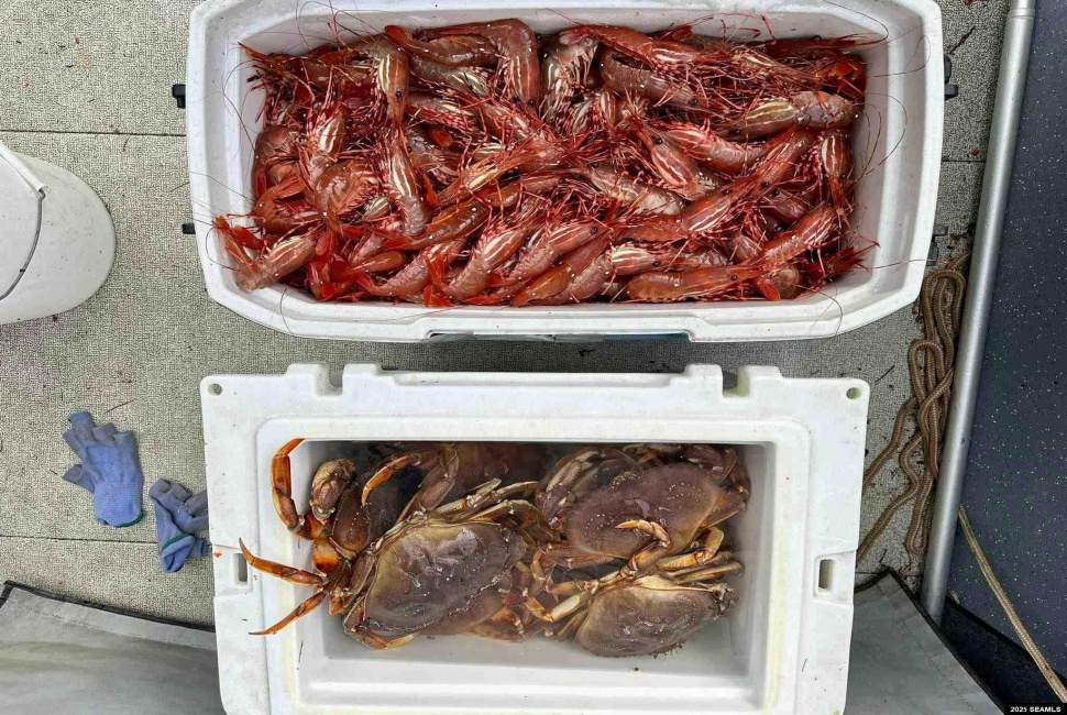 nnn Legal Address Only, Ketchikan, 99901, 1 Bedroom Bedrooms, 0 ,0,Cabin,Residential,Legal Address Only,0,25874