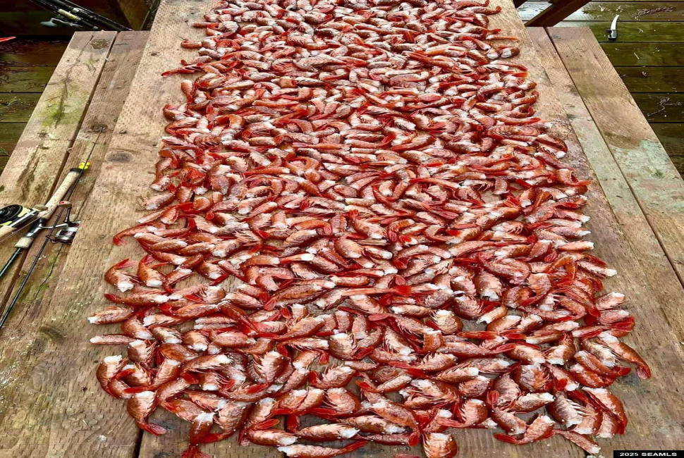 nnn Legal Address Only, Ketchikan, 99901, 1 Bedroom Bedrooms, 0 ,0,Cabin,Residential,Legal Address Only,0,25874