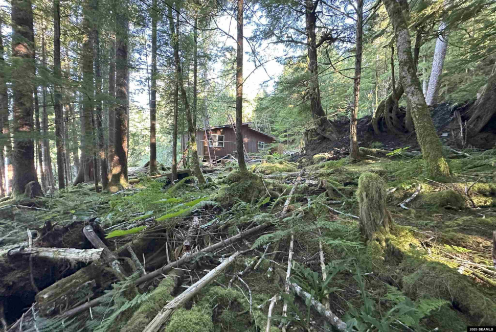 nnn Legal Address Only, Ketchikan, 99901, 1 Bedroom Bedrooms, 0 ,0,Cabin,Residential,Legal Address Only,0,25874