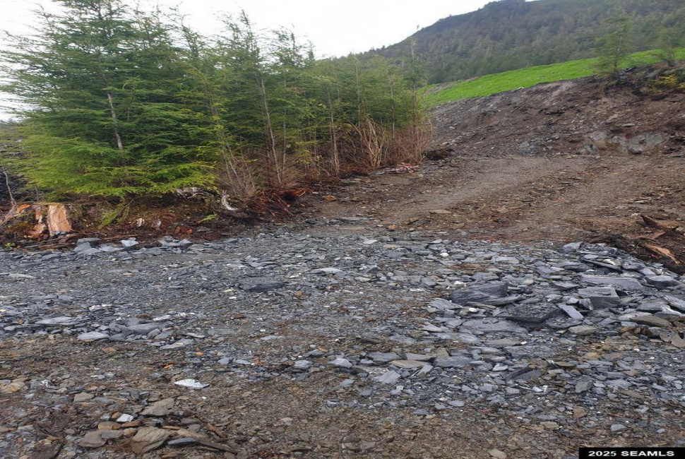 Snow Goose Road, Ketchikan, Alaska 99901, 0 , 0 ,0,Other-see Remarks,Land,Snow Goose Road,0,25942