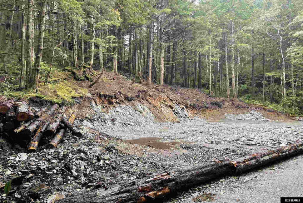 835 Harris Street, Ketchikan, Alaska 99901, 0 , 0 ,0,Single Family/duplex,Land,Harris Street,0,22824