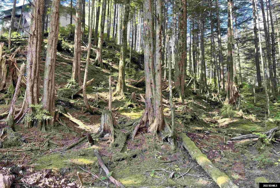 835 Harris Street, Ketchikan, Alaska 99901, 0 , 0 ,0,Single Family/duplex,Land,Harris Street,0,22824