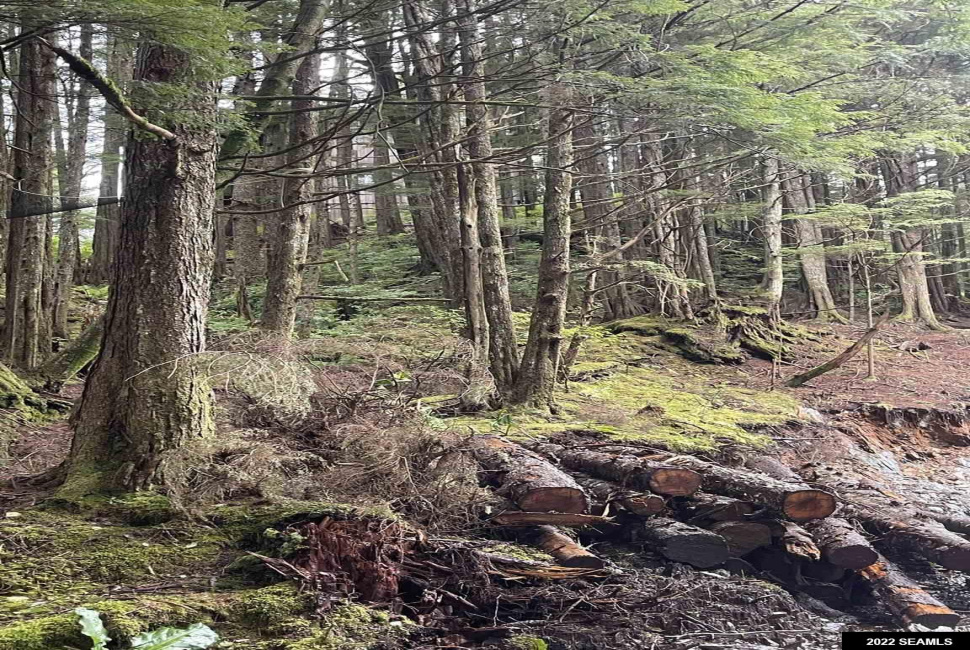 835 Harris Street, Ketchikan, Alaska 99901, 0 , 0 ,0,Single Family/duplex,Land,Harris Street,0,22824