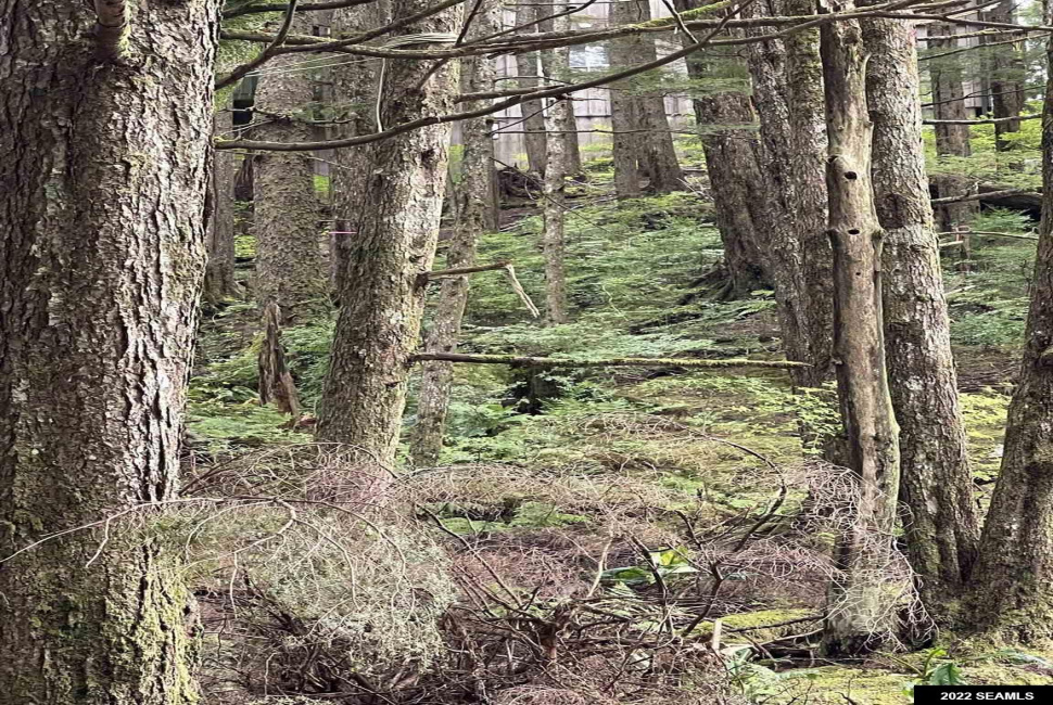 835 Harris Street, Ketchikan, Alaska 99901, 0 , 0 ,0,Single Family/duplex,Land,Harris Street,0,22824