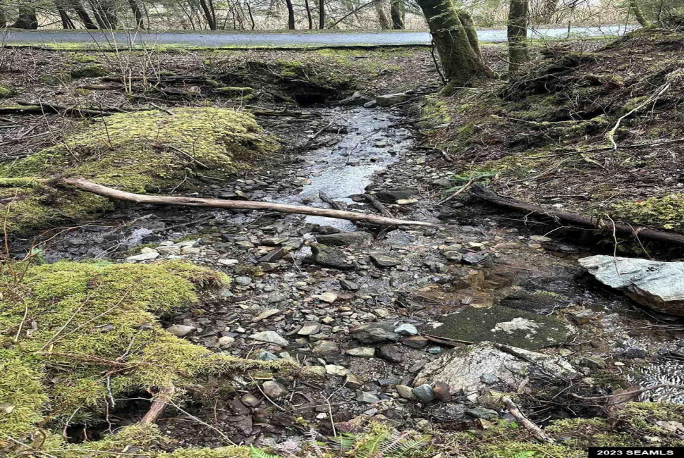 835 Harris Street, Ketchikan, Alaska 99901, 0 , 0 ,0,Single Family/duplex,Land,Harris Street,0,22824