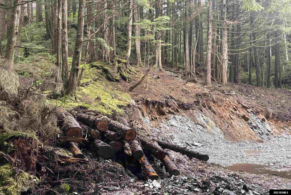 835 Harris Street, Ketchikan, Alaska 99901, 0 , 0 ,0,Single Family/duplex,Land,Harris Street,0,22824