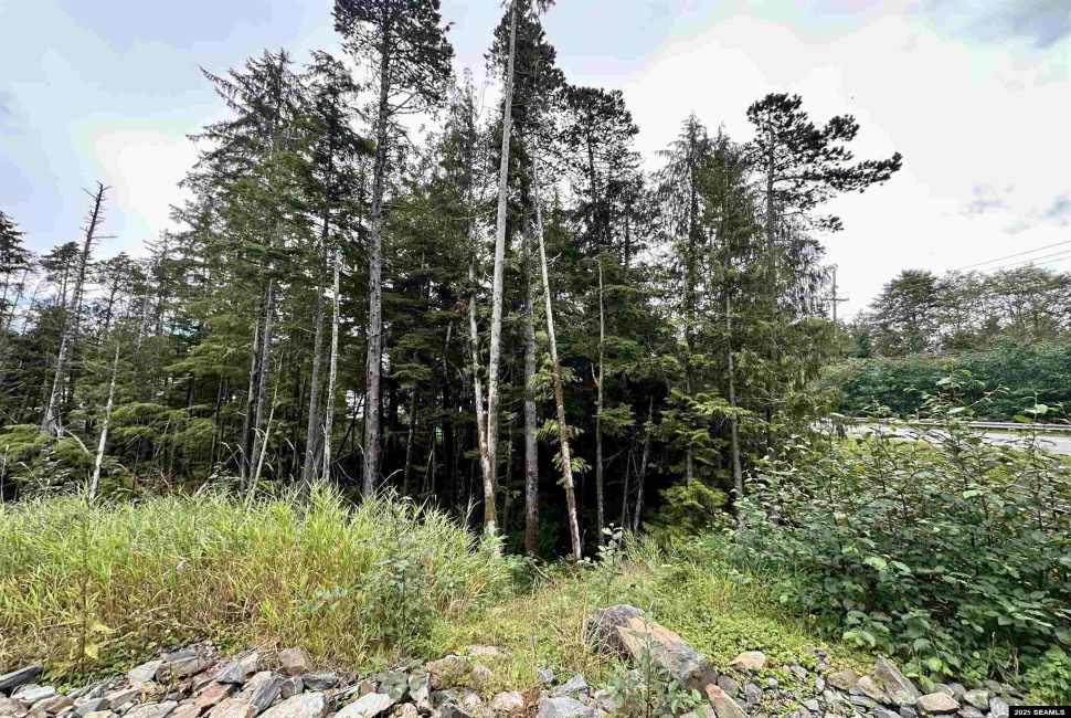 000 Stonebrook Way, Ketchikan, Alaska 99901, 0 , 0 ,0,Single Family/duplex,Land,Stonebrook Way,0,24097