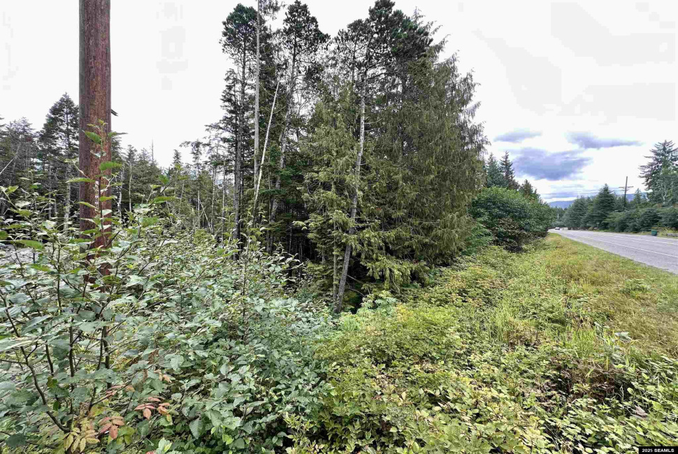 000 Stonebrook Way, Ketchikan, Alaska 99901, 0 , 0 ,0,Single Family/duplex,Land,Stonebrook Way,0,24097