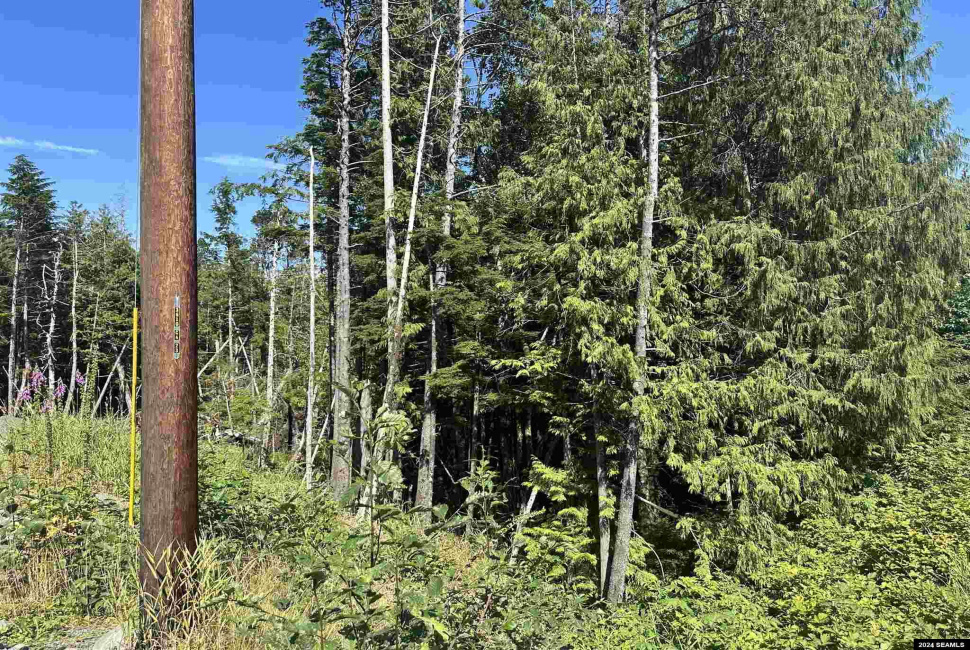 000 Stonebrook Way, Ketchikan, Alaska 99901, 0 , 0 ,0,Single Family/duplex,Land,Stonebrook Way,0,24097