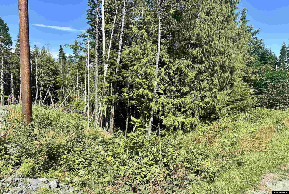 000 Stonebrook Way, Ketchikan, Alaska 99901, 0 , 0 ,0,Single Family/duplex,Land,Stonebrook Way,0,24097