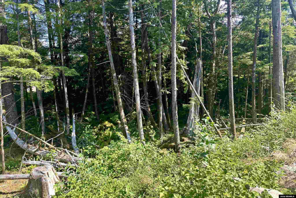 000 Stonebrook Way, Ketchikan, Alaska 99901, 0 , 0 ,0,Single Family/duplex,Land,Stonebrook Way,0,24097