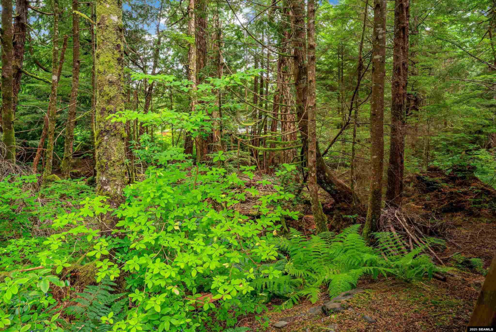 413 Higgins Court, Ketchikan, 99901, 3 Bedrooms Bedrooms, 0 ,2 BathroomsBathrooms,Single Family,Residential,Higgins Court,0,25762