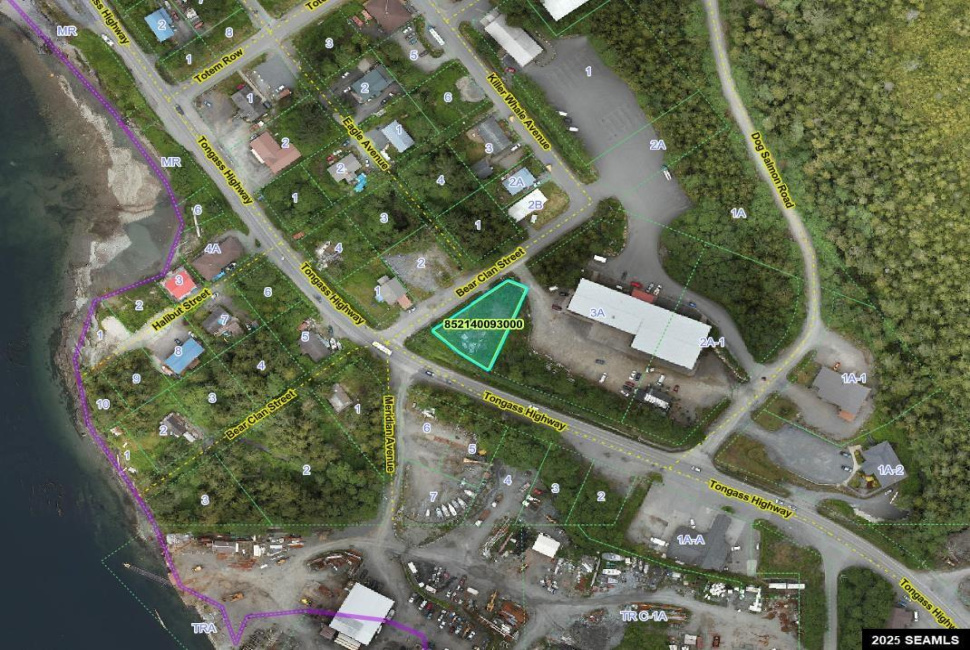 Lot 10 Bear Clan Street, Ketchikan, Alaska 99901, 0 , 0 ,0,Single Family/duplex,Land,Bear Clan Street,0,26051